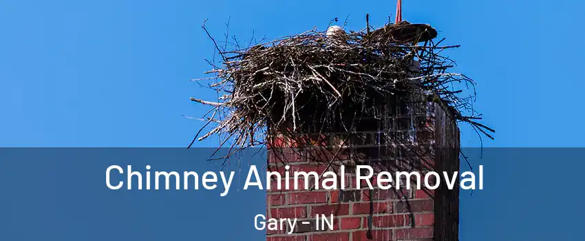 Chimney Animal Removal Gary - IN