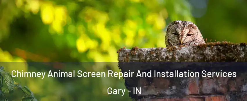  Chimney Animal Screen Repair And Installation Services Gary - IN