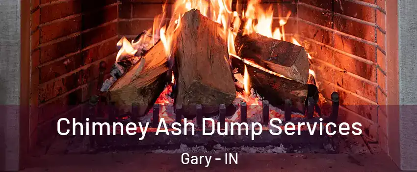  Chimney Ash Dump Services Gary - IN