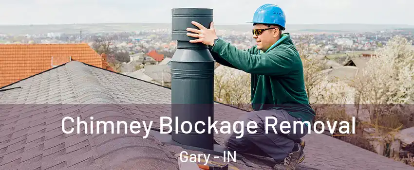  Chimney Blockage Removal Gary - IN