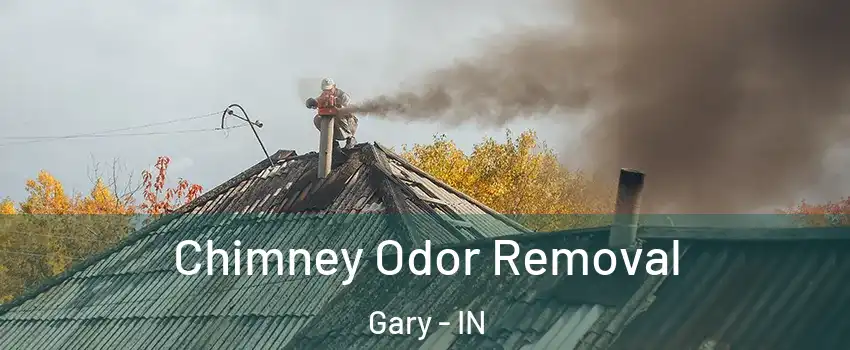  Chimney Odor Removal Gary - IN