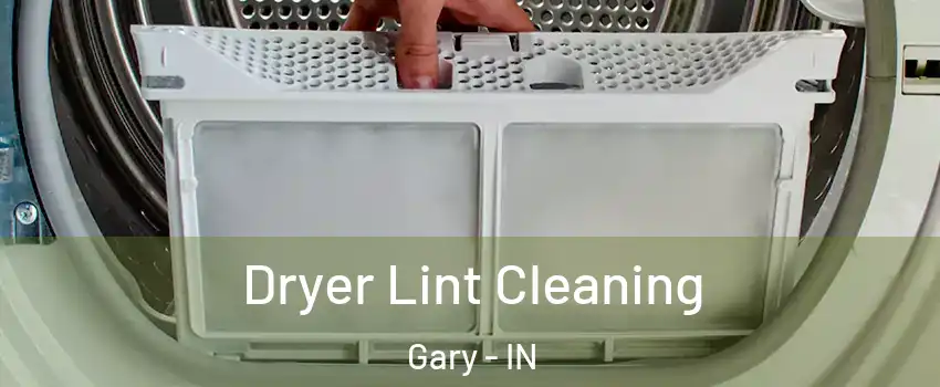  Dryer Lint Cleaning Gary - IN