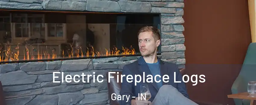  Electric Fireplace Logs Gary - IN