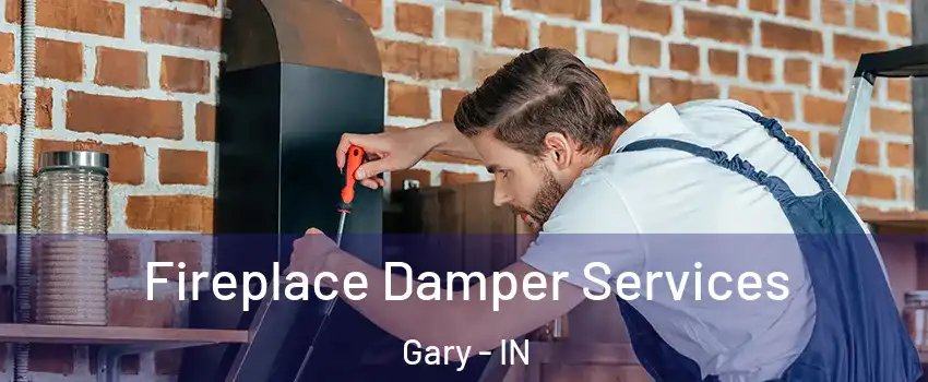  Fireplace Damper Services Gary - IN