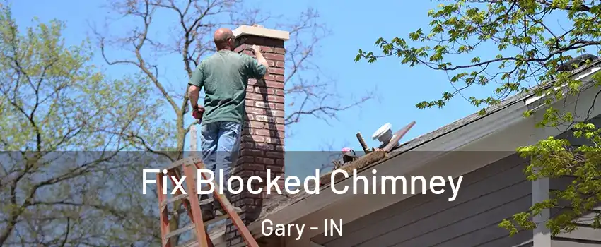  Fix Blocked Chimney Gary - IN