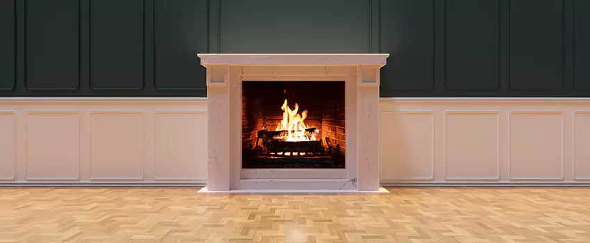 Napoleon Electric Fireplaces Inspection Service in Gary, Indiana
