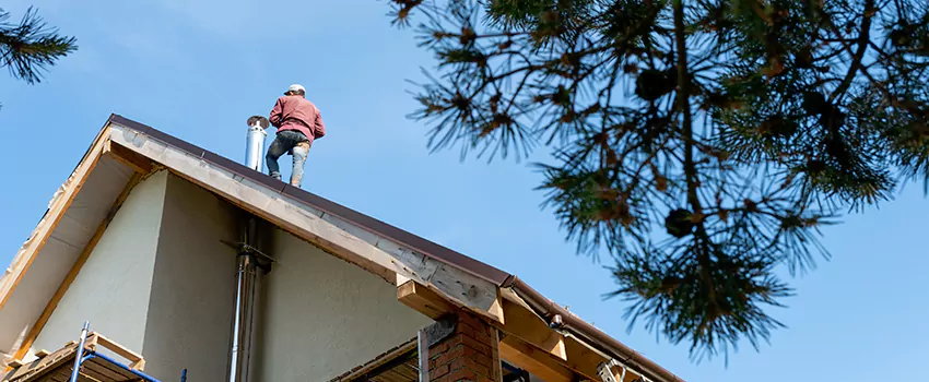 Birds Removal Contractors from Chimney in Gary, IN
