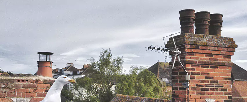 Chimney Cleaning And Restoration in Gary, Indiana