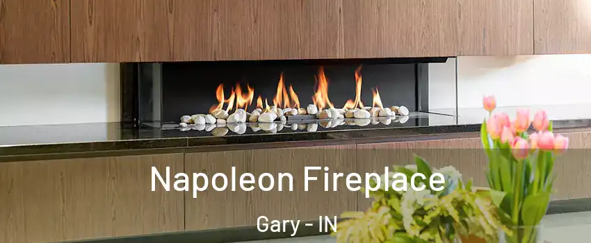  Napoleon Fireplace Gary - IN
