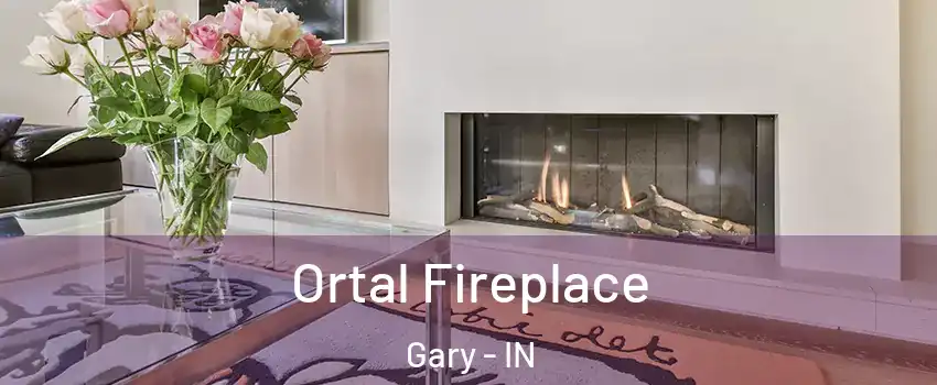Ortal Fireplace Gary - IN